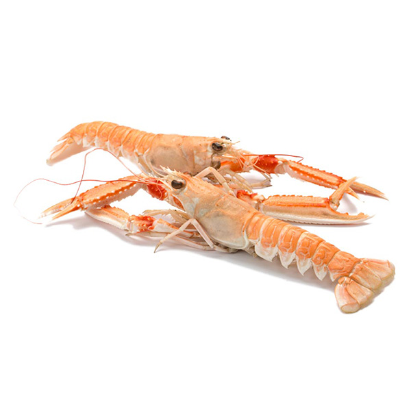Scampi 13/16 1x700gr