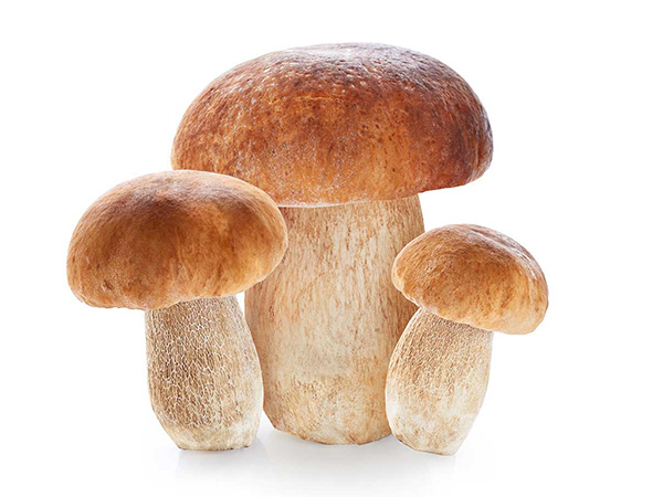 Funghi Interi Medio/grossi Sacchetto SIN Golo 1 Kg