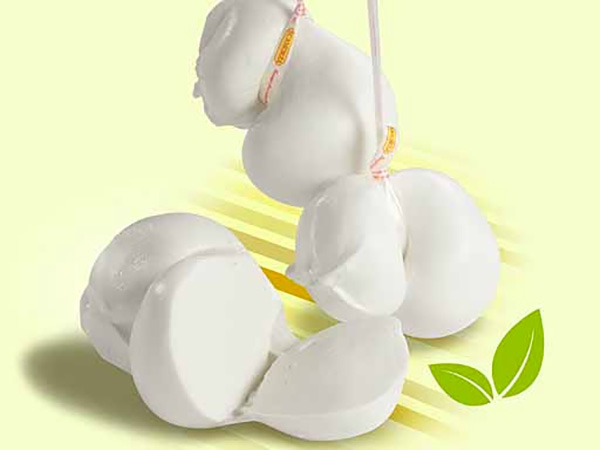 Scamorza Bianca
