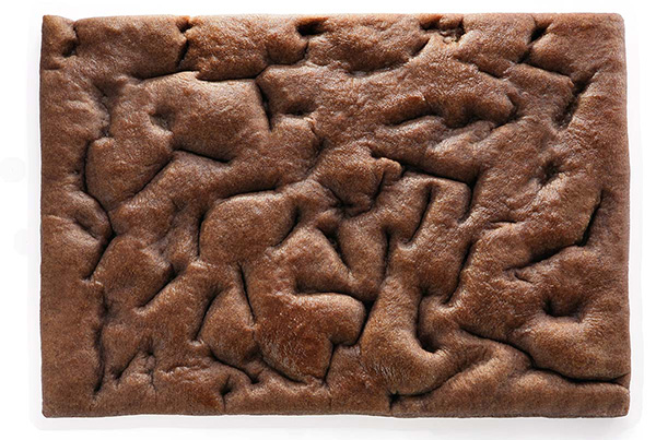 Focaccia Venere (con Farina Riso Venere) 40x30 G.580x5